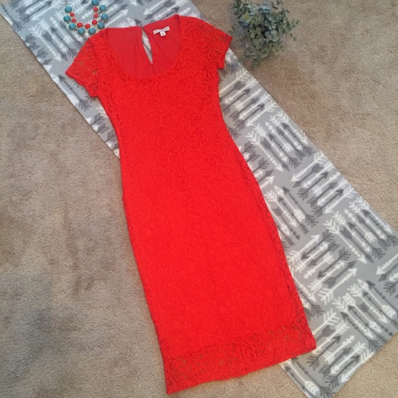 Eva Mendes Dresses & Skirts - Orange Eva Mendes Fitted Lace Dress